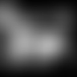 Rootin' Tootin': Westside Cowboy Live At The Bodega