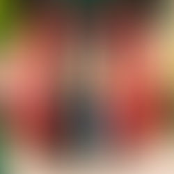 Manchester’s YAANG Talk Weird Gigs, their New 17-Minute Single and the Meaning of Life