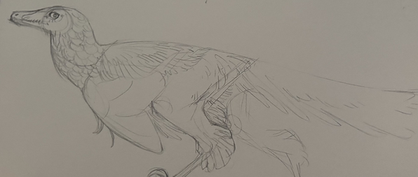 plain raptor.png
