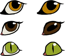 eyes.png