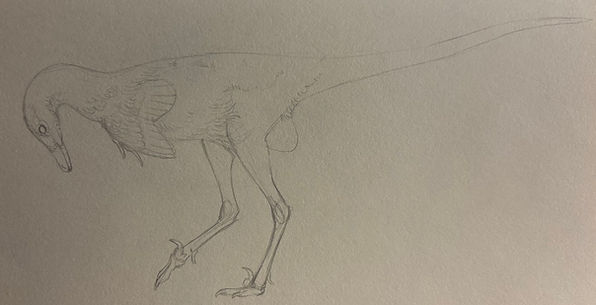 beach raptor.jpg