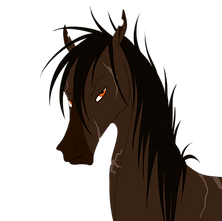 Kade headshot.png