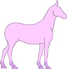 rewards measurement body measurements-fu
