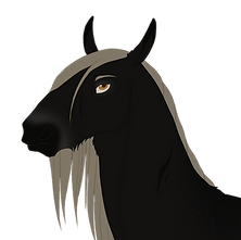 Braon headshot.png