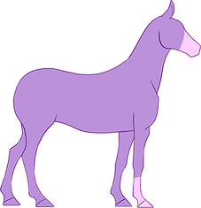 rewards measurement body measurements-bo