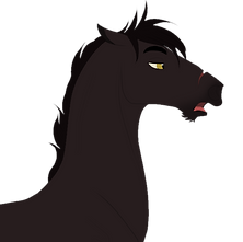 Djuro_edited.png