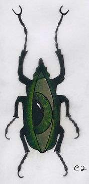 e2scan.jpg