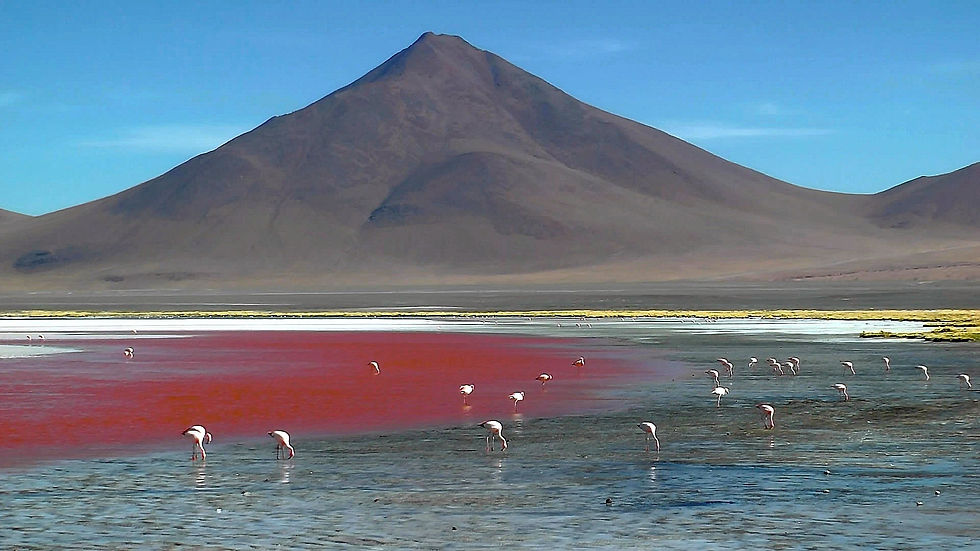 SALAR DE UYUNI