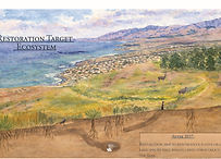 katie allen_website submission_Page_1.jpg