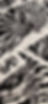 20251121_114650.jpg