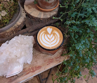 Cortado next to plants