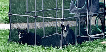 IMG_6645_edited.jpg