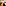fullsizeoutput_d4a.jpeg