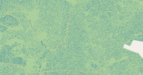Tree tops, Forestry, Inventory, Tree count,