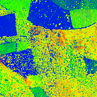 CHM, forestry, AI, accurate