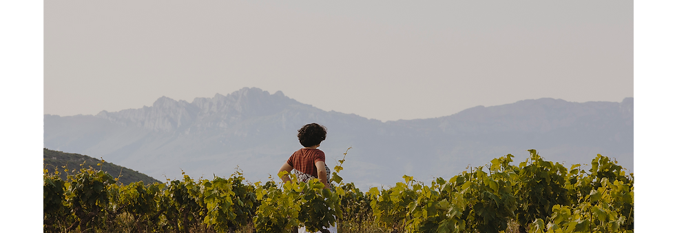 Desde la finca de Villota, en el meandro del Ebro de Laserna (Rioja Alavesa), Elena Pérez Garrigues contempla el paisaje y el cielo de la sierra, por donde suelen aparecer nubes cargadas de agua