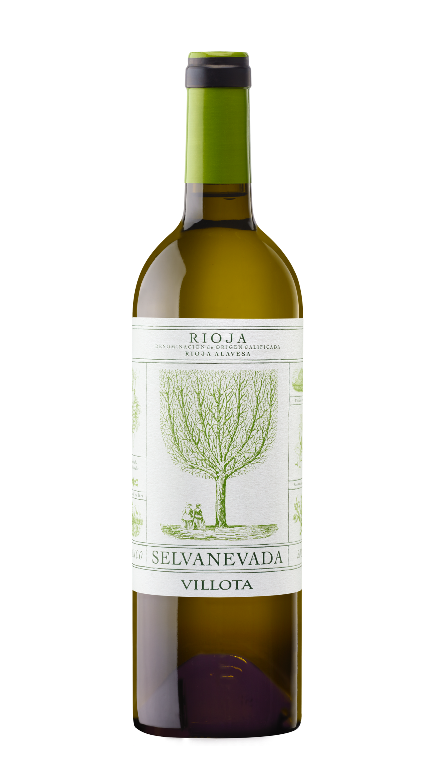 Selvanevada Blanco 2024