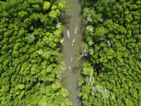 Creating Impact Beyond Renewable Energy: A Joint Perspective from EKOenergy and Mt. Stonegate