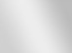 GreyBg.jpg