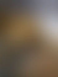 Navigating the Current State of Trade for UK Manufacturing Insights and Implications