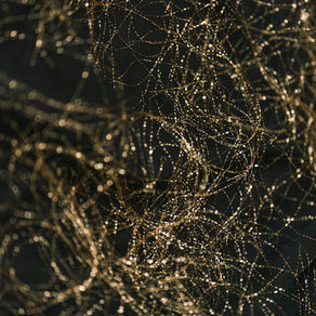 Understanding Your Nervous System