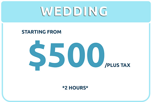 Wedding special for Iowa's highest rated 40 passenger party bus