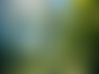 La solución de los TELOMEROS! 3/7