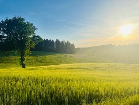 Mindfulnes, vivir aqui y ahora!