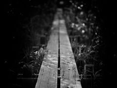 "The power of three" interviews