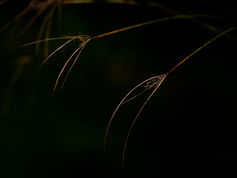 Photography and meditation