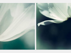 There is no bad light