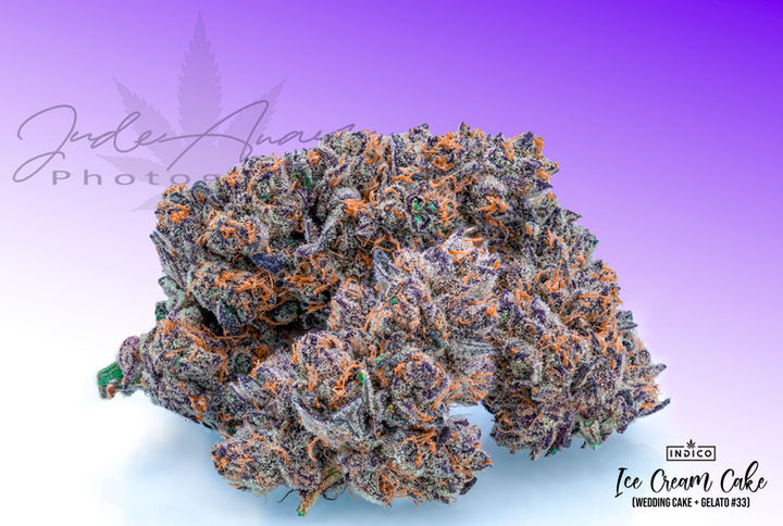 Ice Cream Cake Indico.jpg