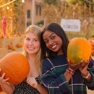 Pumpkin Patch (FRIENDSHIP)