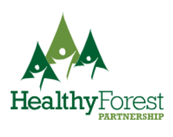 HFP