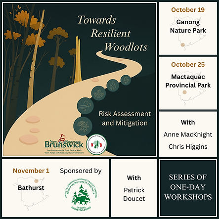 Workshops - New date - English.jpg