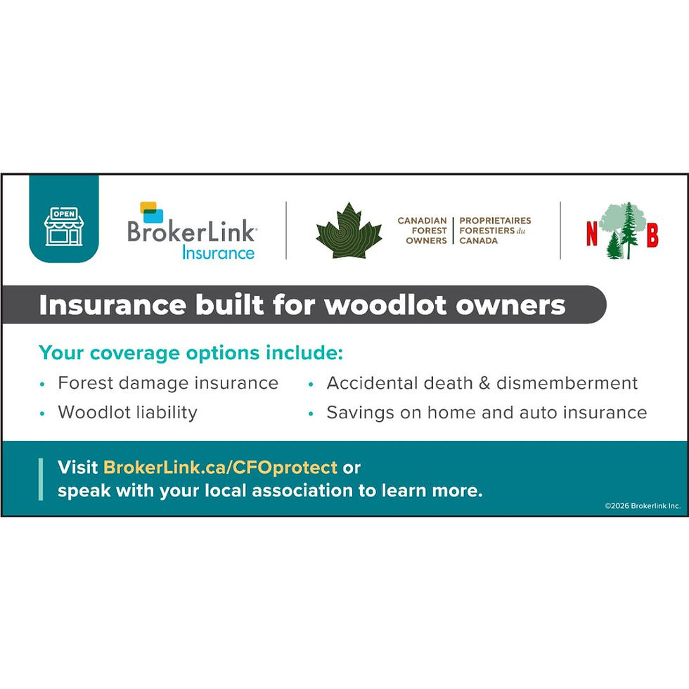 BrokerLink ad (1080 x 1080 px)