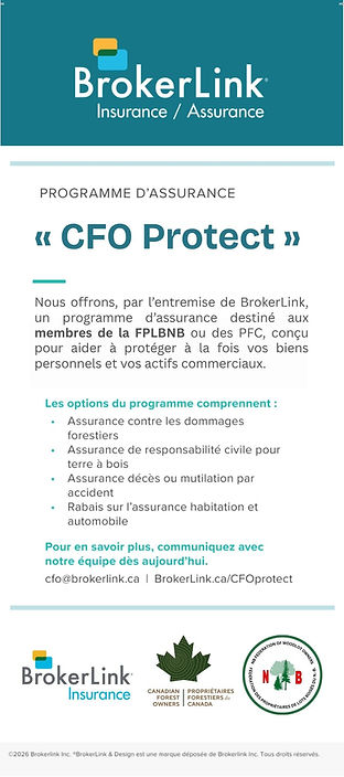 Insurance flyer (Rack Cards) - FR.jpg