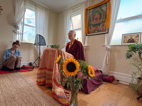 Ways to Support and Nurture your Practice of Mind Training with Lama Zangmo