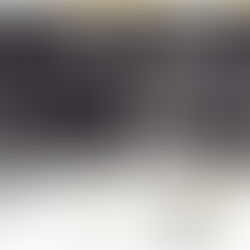 1955 Photo of minister Cyril Flood making a speech