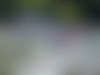 Twickenham rowing club senior men's and women's 8s celebrate wins in the Twickenham Regatta.