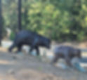 20250827_175027_edited_edited_edited.jpg