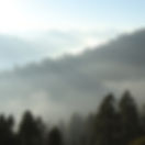 sierra nevada mountains. Shrouded in mist.jpg