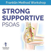 Psoas graphic Small.jpeg
