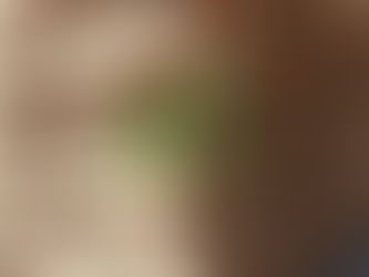 recycle corrugate paper waste to molded pulp