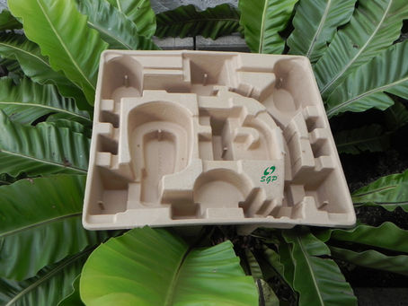 The Hidden Cost of Carbon: How Nature Is Disappearing — And How Pulp Mold Packaging Reduces CO₂