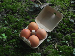 Eco Packaging จาก “ทางเลือก” สู่ “มาตรฐาน” ของโลกธุรกิจ