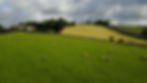 sun and fresh air, sunshine, sunlight, natural light, health benefits of sunlight, wellbeing