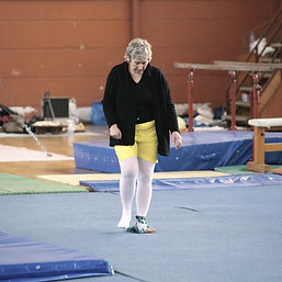 Pommel Horse
