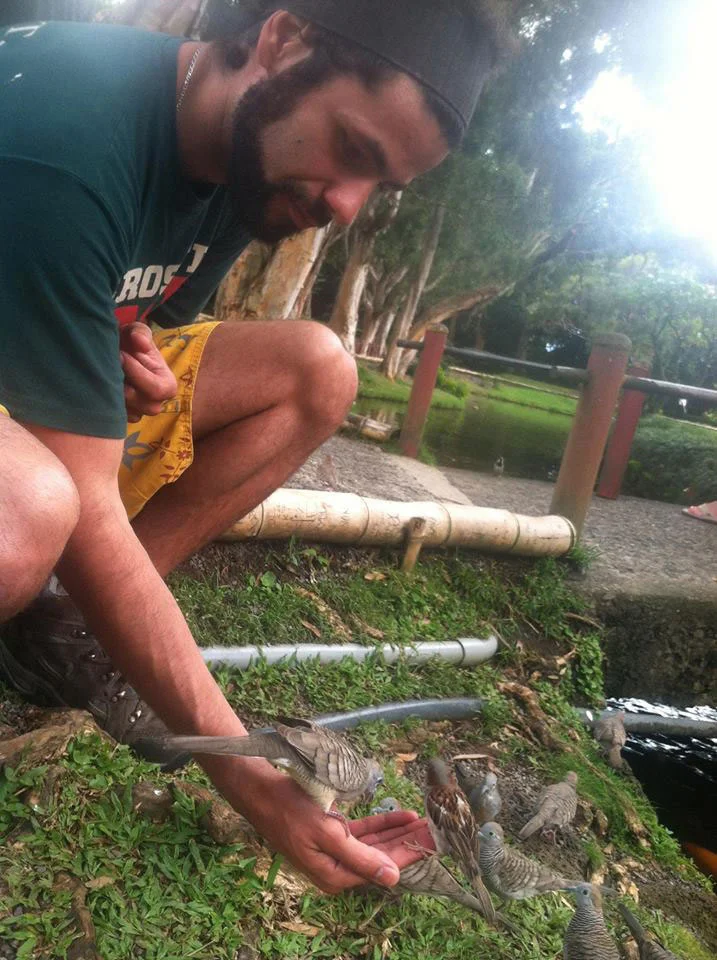 Feeding birds at the Buddhist center