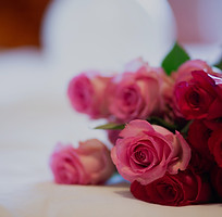 Roses_edited.jpg